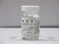 藏品(篩口雙線鳚)的圖片